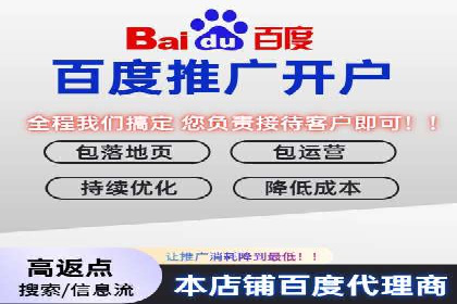 百度竞价广告投放策略案例